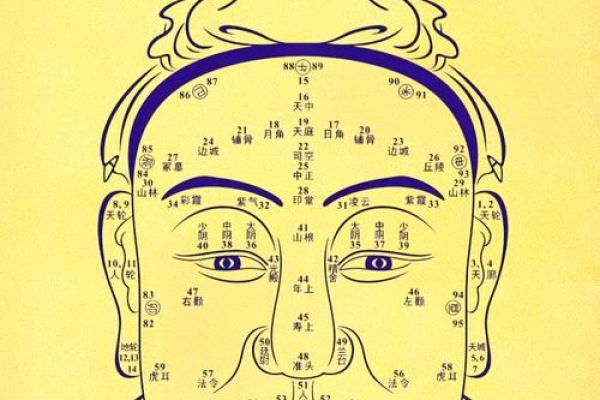 伯在五行中的独特作用与解析，了解它对命运的影响