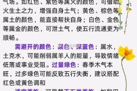 纯阳命的定义与特点解析
