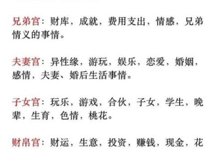 财命的概念与影响：如何理解个人财富命运的奥秘