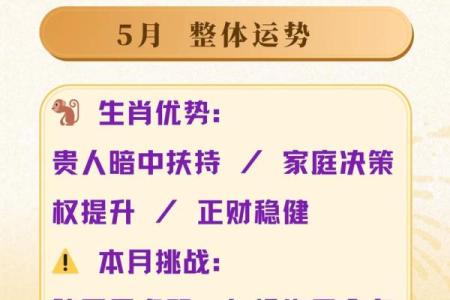 属猴人本命年如何应对生活中的不确定性