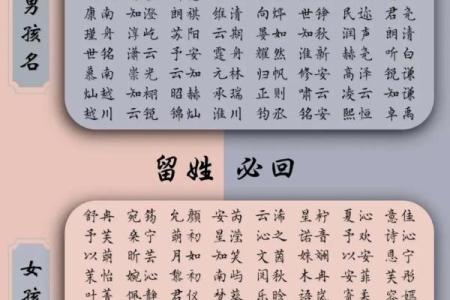 马宝宝起名大全：从传统到现代的最佳选择