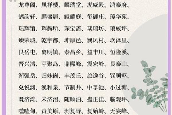 创办新公司时如何选择一个吸引人的名字