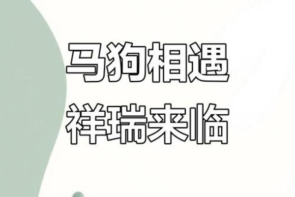狗与马性格互补，搭配生活是否理想