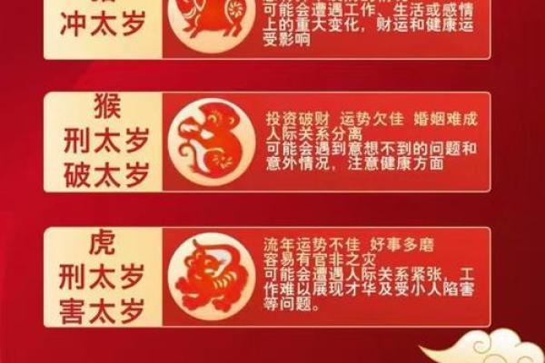 蛇人运势变化与挑战：如何应对年度起伏