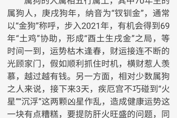 根据生肖分析十年运程，揭开未来的命运之谜