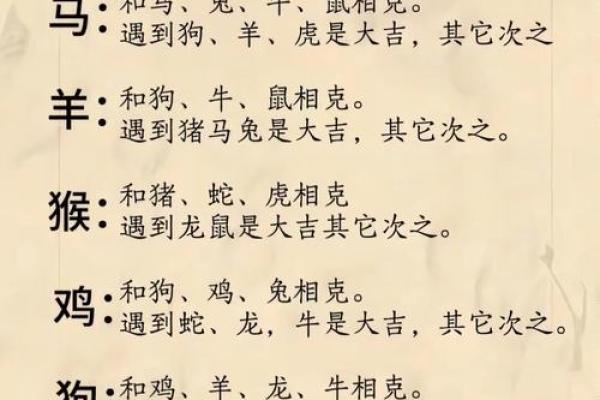 属鼠的本命年该如何调整生活方式