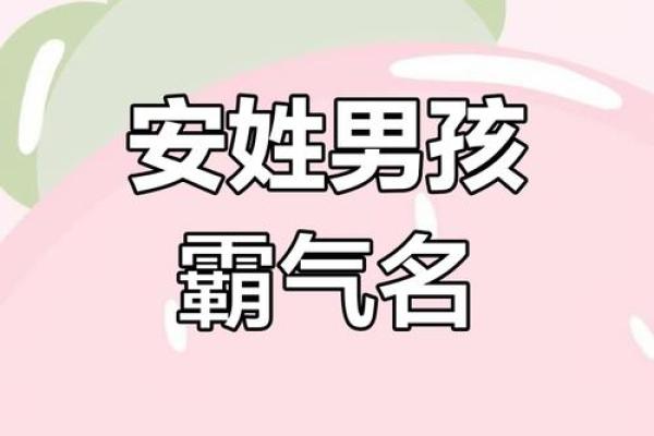 安字取名宝典 适合各类风格的名字推荐