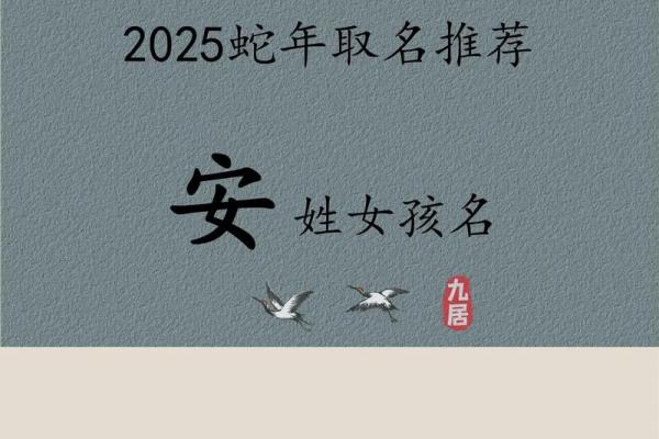 安字取名宝典 适合各类风格的名字推荐