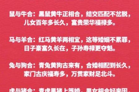 属狗和猴的配对合适吗？解析两者的性格与婚配运势