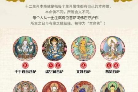 十二生肖本命佛：神灵守护与命运调和