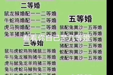 属马男和属马女的爱情配对解析：相互吸引还是挑战重重