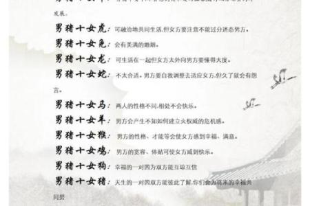 属猪与属龙的婚配分析：两者是否合适？