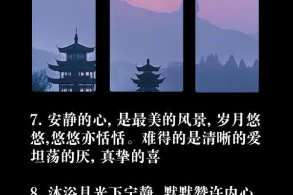 安静如风的名字背后隐藏的深意