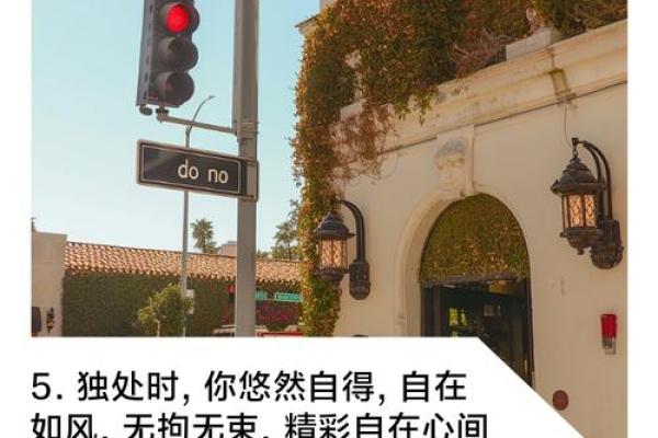 安静如风的名字背后隐藏的深意