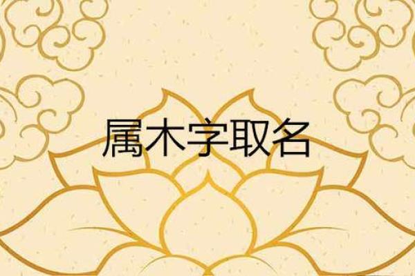 灿字五行属什么？解读灿字的五行属性与命理关系