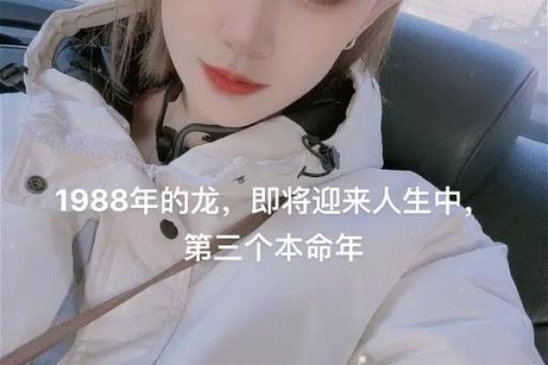 龙女本命年的事业稳定性分析