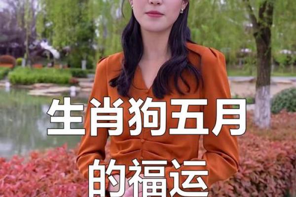 属狗每月运势大揭秘：如何把握每个关键月份的运气
