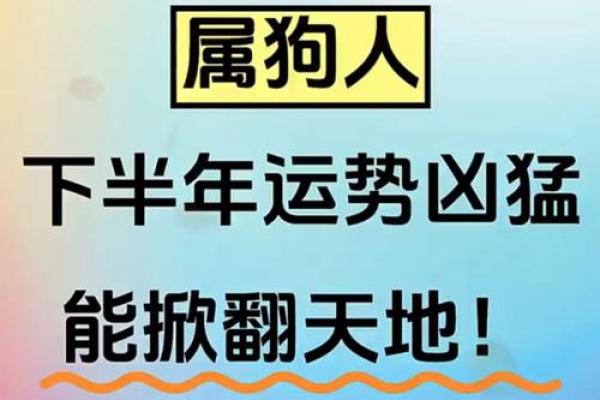 属狗每月运势大揭秘：如何把握每个关键月份的运气