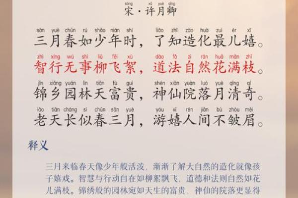 农历三月的独特魅力,带你一探究竟 农历三月的独特魅力,带你一探究竟