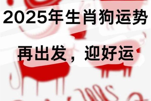 属狗运势预测：如何把握好运迎接挑战