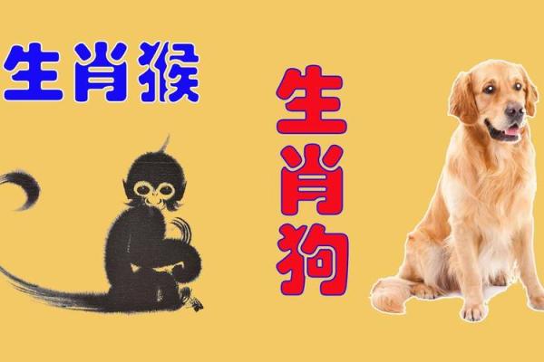 分析冲锋陷阵与生肖性格的关系
