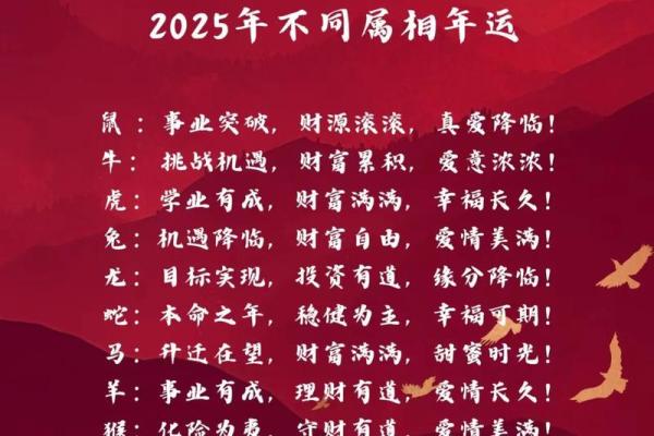 属鼠人在本命年如何增强学习运