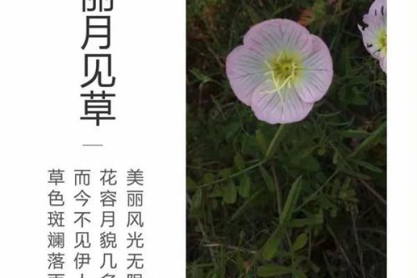 留住时光，万年历理发，你的专属记忆剪影