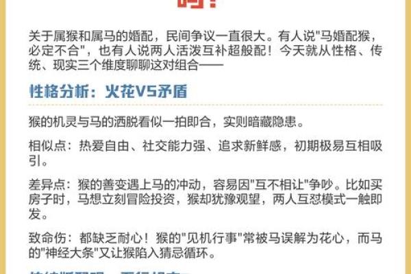 鸡猴是否相配 如何看待生肖配对的相生相克关系
