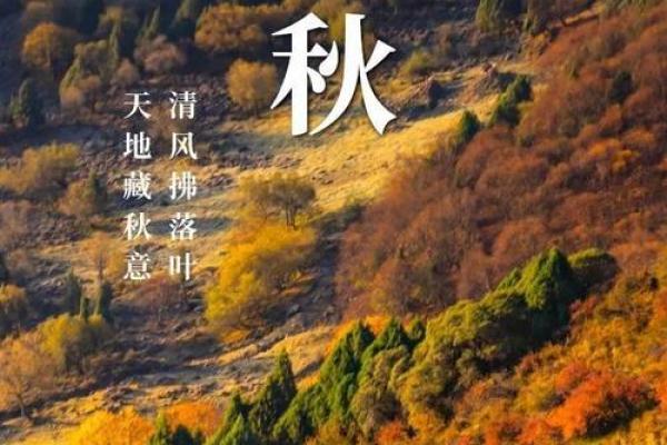 立秋时节，丰收的季节来临