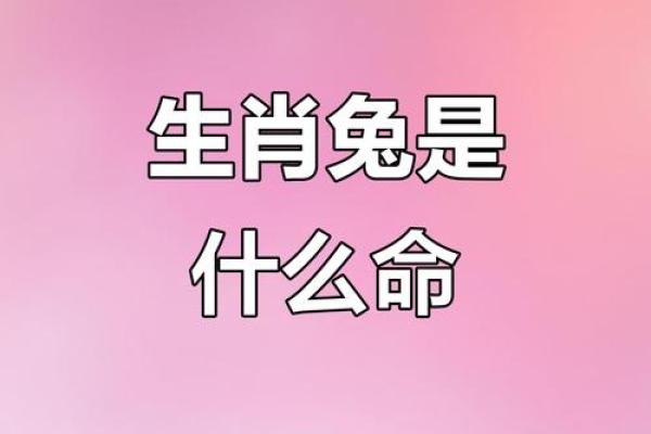 被称为兔命的人，你的命运特点是什么？