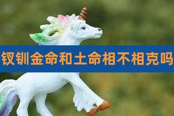 叉钏金命的五行属性及其对人生的影响
