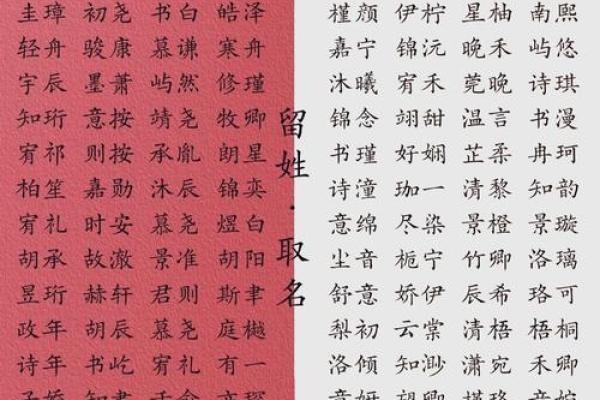 免费宝宝名字生成工具，快速找到完美名字