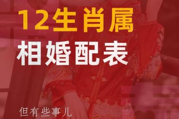 属鼠与属蛇的配对如何 生肖相合与相克分析