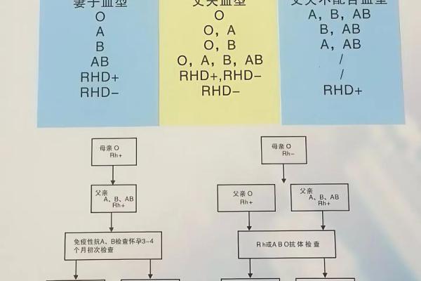 血型配对能影响感情稳定性吗