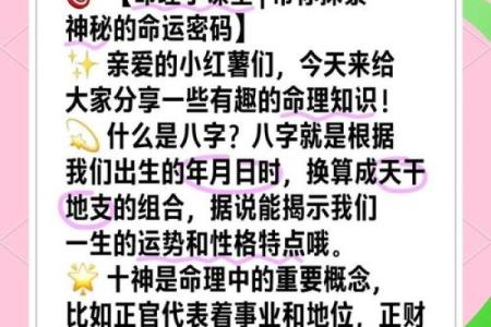 易海探秘：万年历卦象解码，揭秘命运之谜