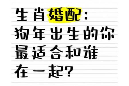 属马与属狗的性格互补吗 婚配合适度深度探讨