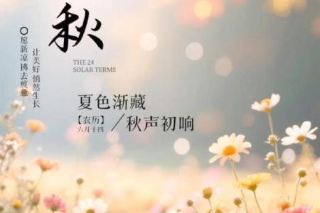 立秋时节，丰收的季节来临