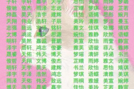 免费宝宝名字生成工具，快速找到完美名字