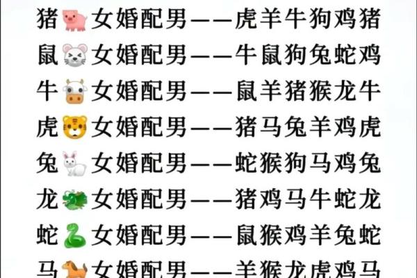 属鼠女与属虎男的爱情是否能长久？探索两者的配对潜力
