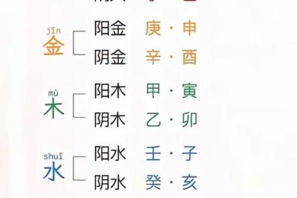 出生的命格与运势分析