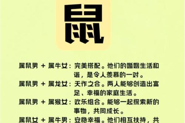 属鼠与属鼠的配对是否合适？分析与解答