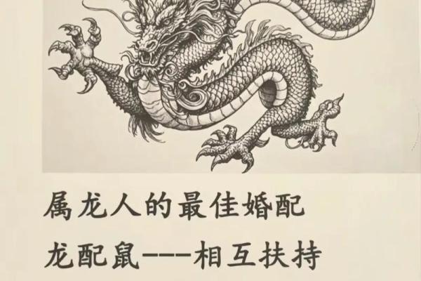 探讨龙男与狗女的配对是否理想
