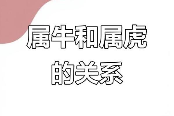 虎男与牛女的性格差异与和谐共处