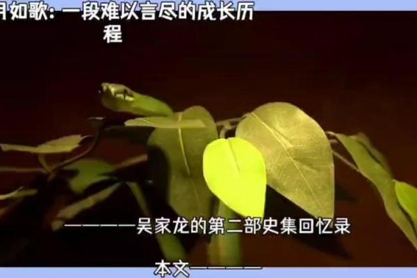 1995年:岁月如歌,回忆满满 1995年:岁月如歌,回忆满满