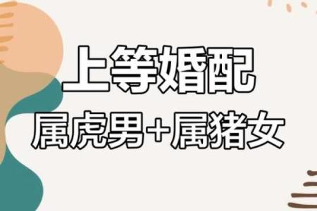 属鼠女与属虎男的爱情是否能长久？探索两者的配对潜力