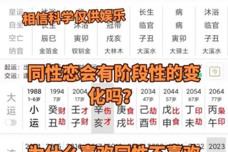 揭秘八字中的同性恋信号，命运早有暗示！