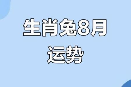 生肖兔的财运与事业运势：新的一年如何掌握机会