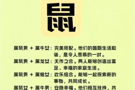 属鼠与属鼠的配对是否合适？分析与解答