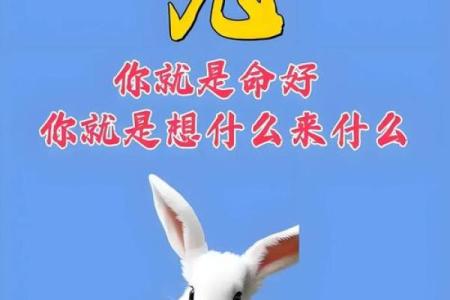 如何在本命年帮助兔男化解压力