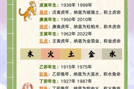 IT软件行业五行属什么？揭秘行业背后的五行属性分析